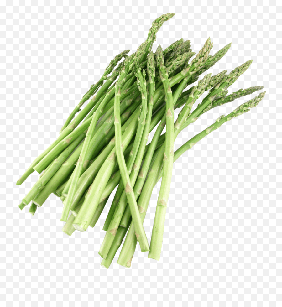 Asparagus Png Image Asparagus Meaning In Urdu,Vegetable Garden Png