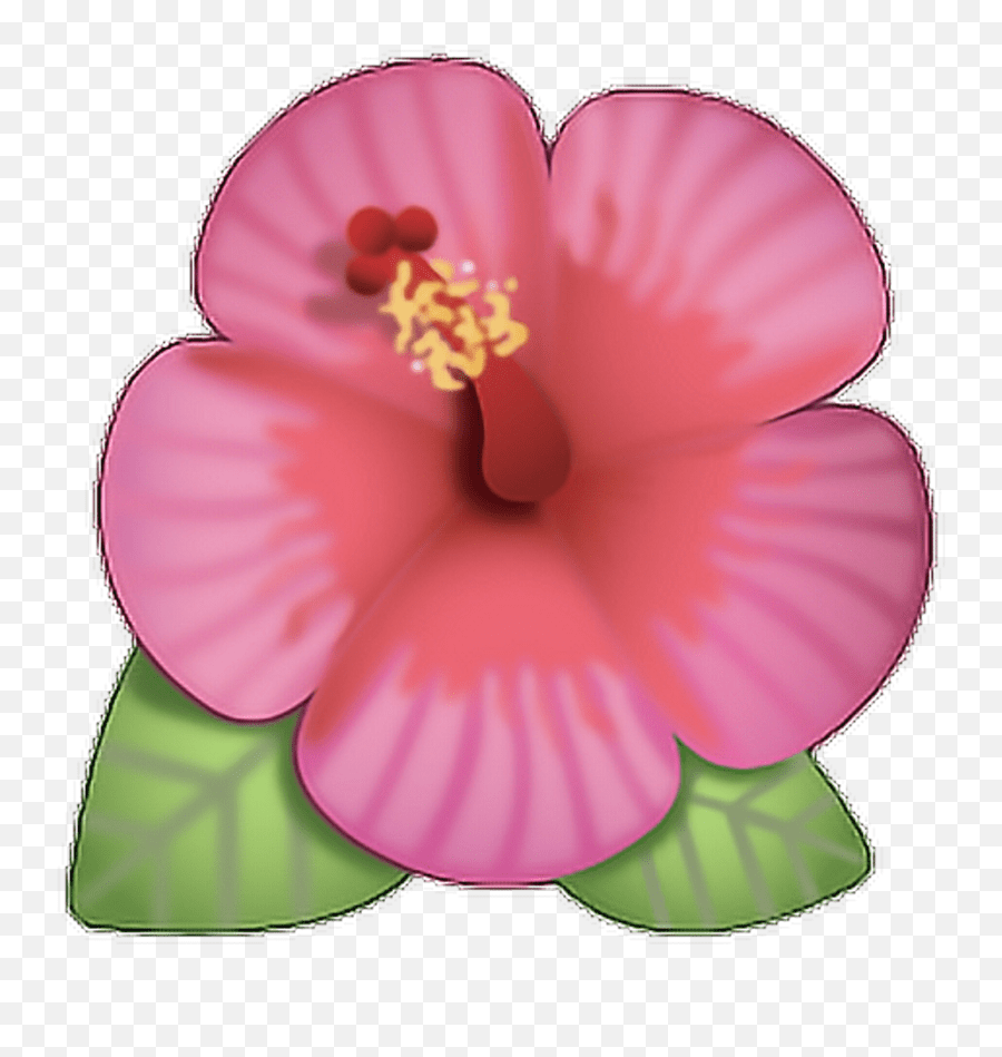 Transparent Flower Hibiscus Emoji Also hibiscus flower emoji png
