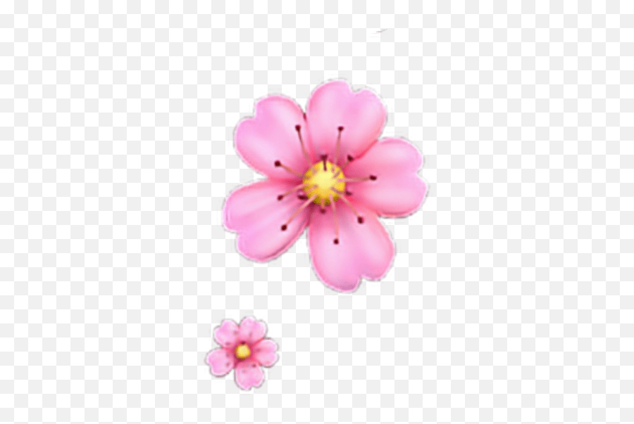 Floweremoji Flower Emoji Iphone Flower Emoji Png Transparent,Flower