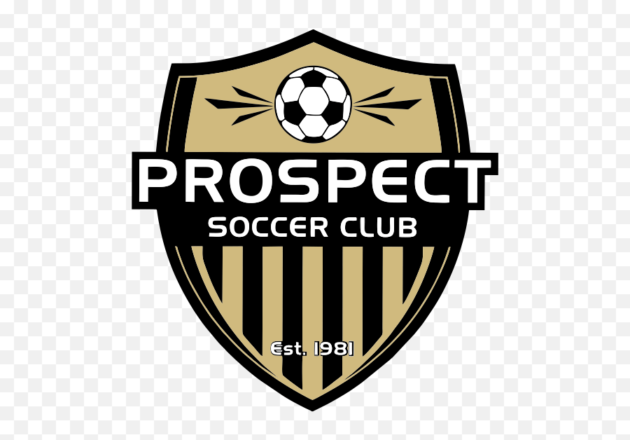 Home Prospect Youth Soccer Prospect Soccer Team Png,Soccer Team Icon