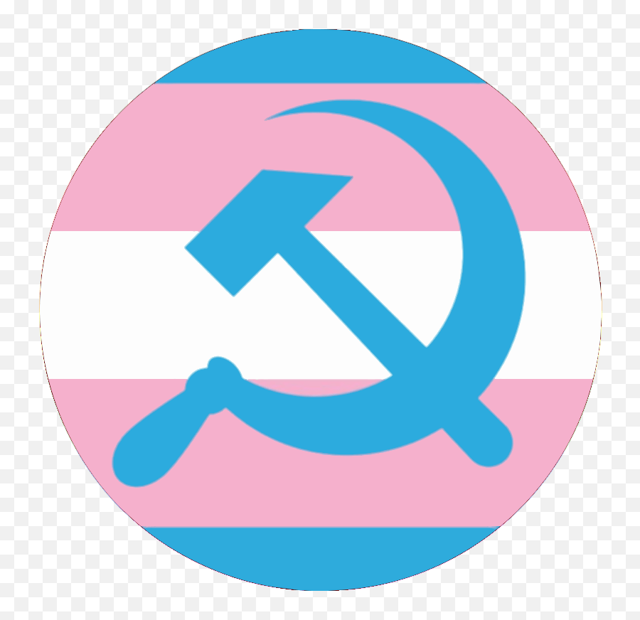 Trans Flag With Hammer And Sickle Discord Hammer And Sickle Emoji Png