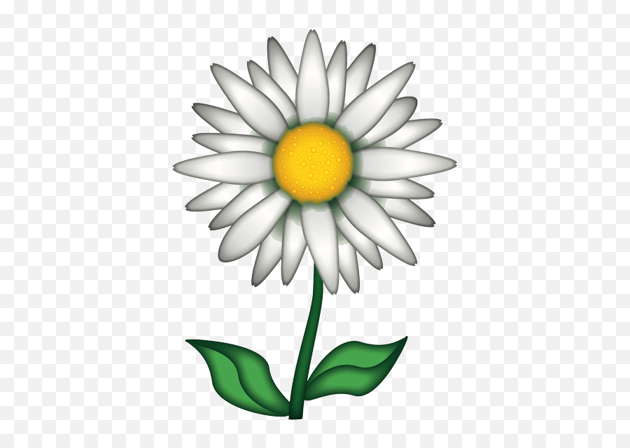 Flower Emoji Png Chamomile Emoji,Flower Emoji Png free transparent