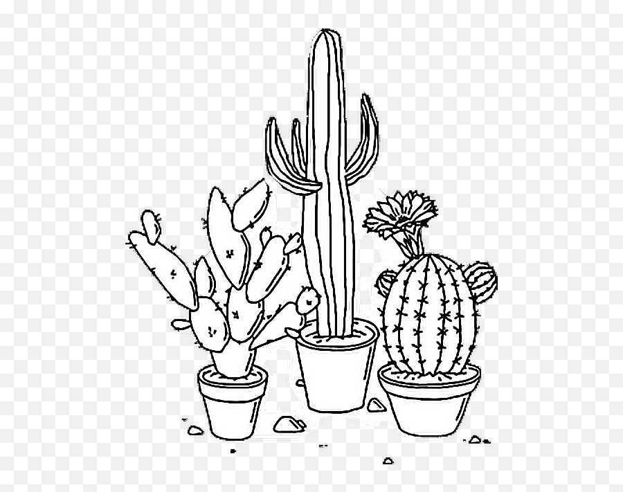 Download Sticker Tumblr Aesthetic Png Cactus Plant Black And White