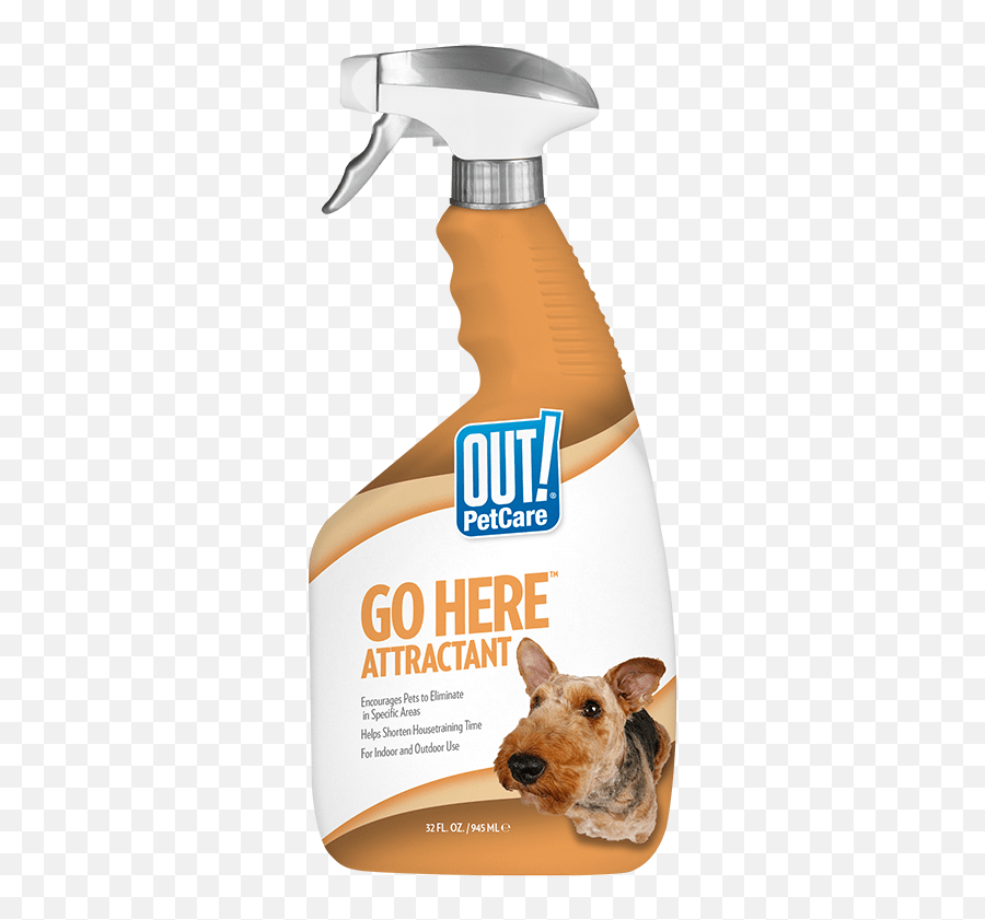 Go Here Attractant Dog Training Spray Out Petcare Out Oxy Fast Stain