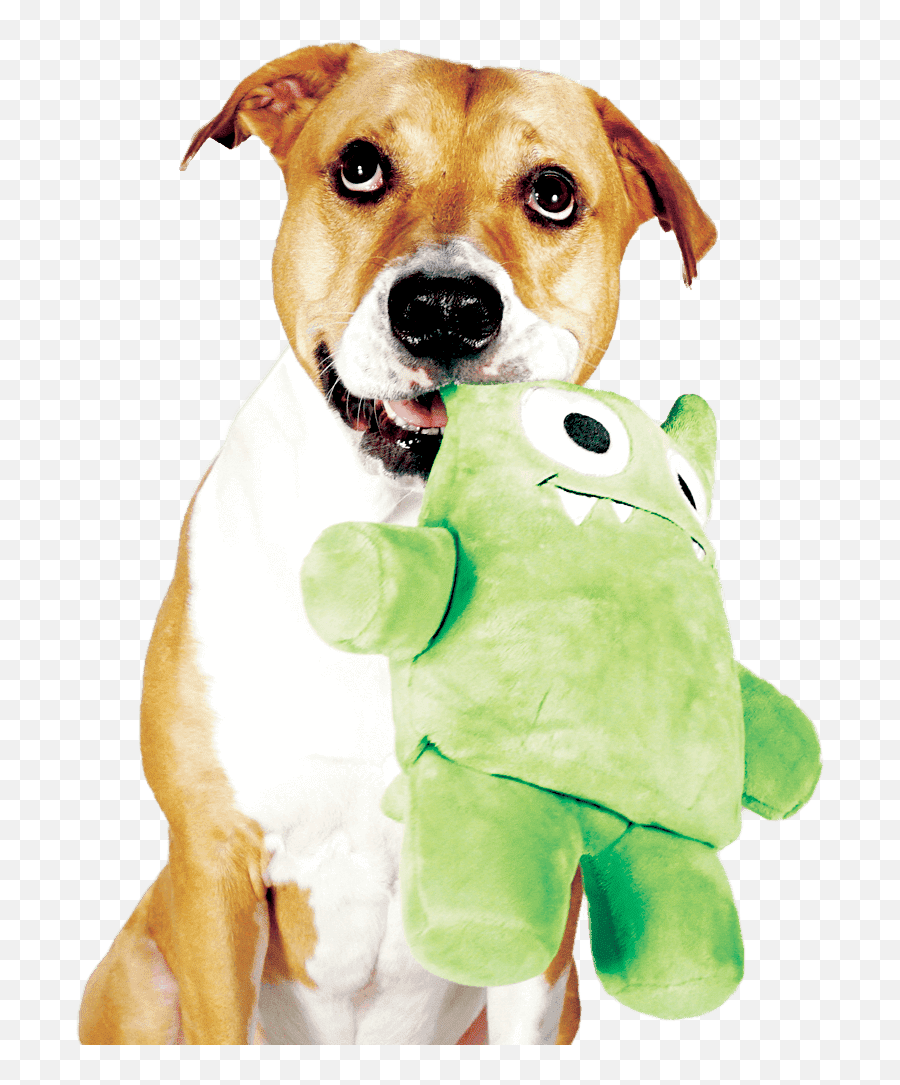 Tearribles Kickstarter Dog Toy Png,Dog Toy Png free transparent png images
