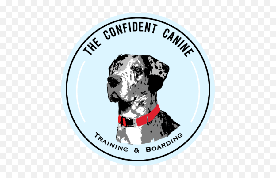 Dog Boarding West Palm Beach The Confident Canine 9th Engineer