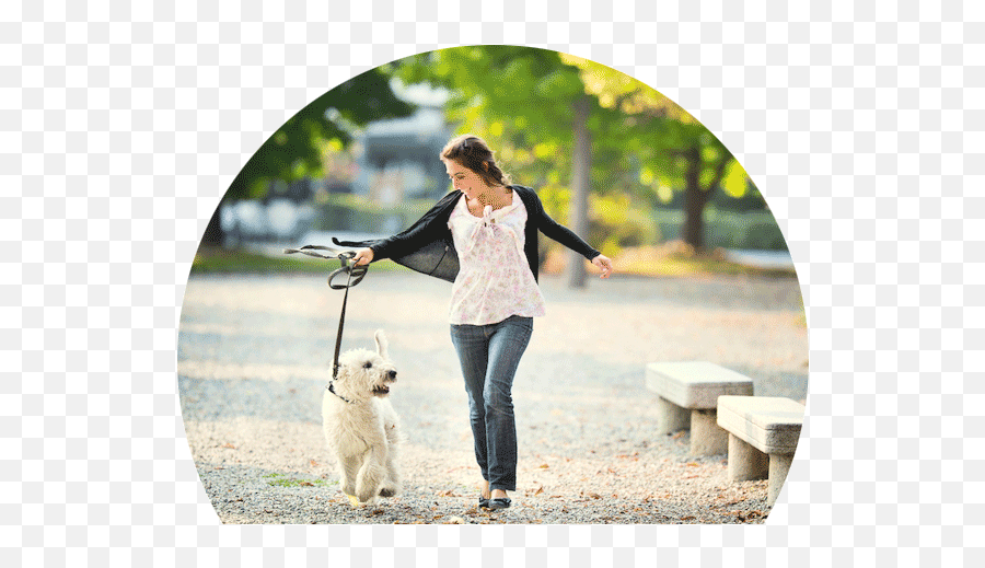 Dog Walking Jobs Vancouver Release The Hounds Lady Walking With Dog
