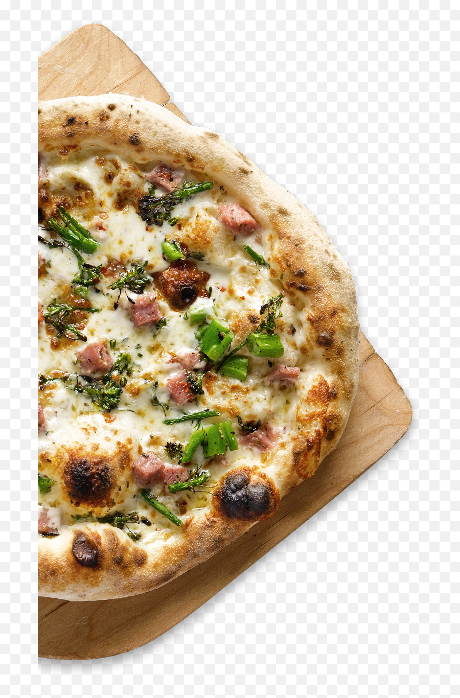 White Pizza Naan Full Size Png Download Seekpng Naan,Pizza Emoji Png