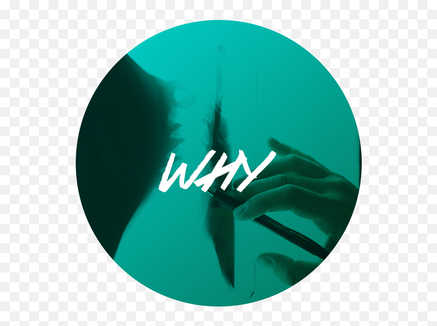 Robinson Township Chiropractic Center Circle Png,Call Now Png free