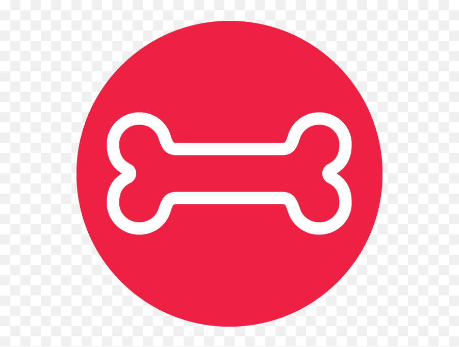 Pet Store And Supplies Orange Connecticut A To Z Shop Solid Png,Puppy