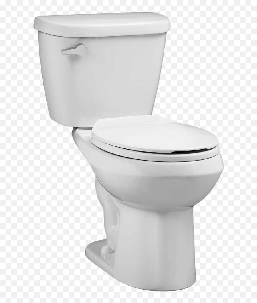 Renaissance Waterwarden Toilet 128 Gpf American Standard B872 Western