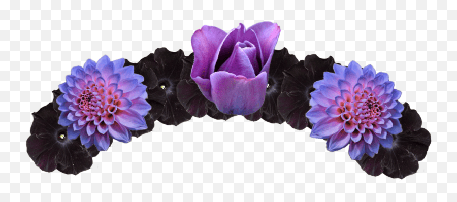 Purple And Black Flower Crown Flower Crowns PNG image 408 Flower