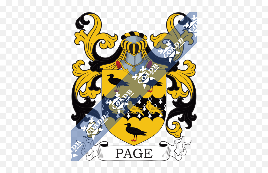 Padilla Family Crest Coat Of Arms And Name History Dixon Coat Of Arms