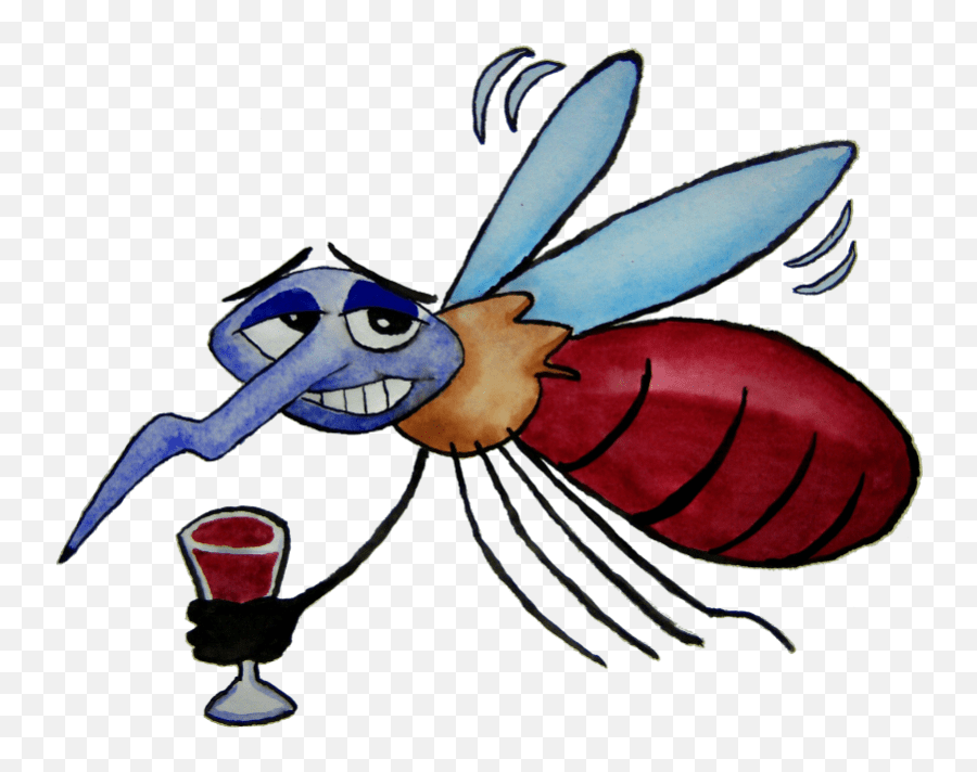 Mosquito Clipart Comic Drunk Mosquito Cartoon Png Mosquito Drawing
