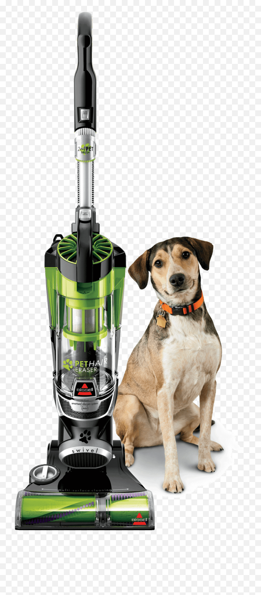 Dog Hair Filter Bissell Pet Hair Eraser Upright