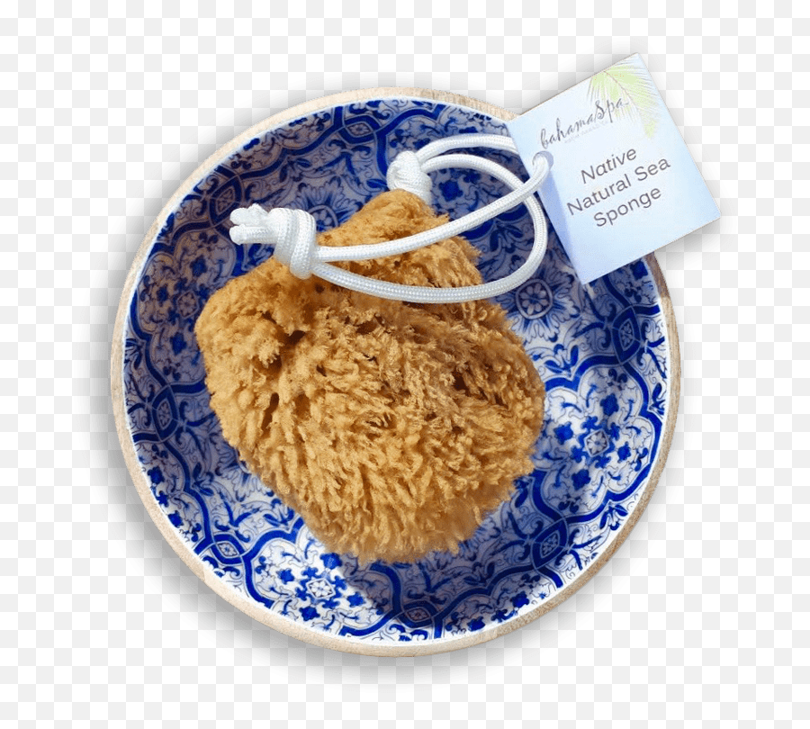 Natural Sea Sponge Natural Sea Sponge Bath On A Rope Png,Sponge Png