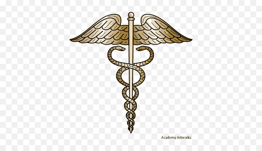 Medical Symbol Snake Tattoo Universal Health Care Symbol Sumerian