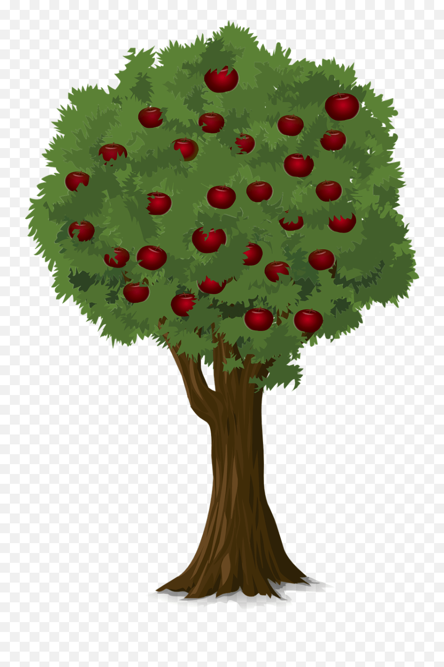 Tree Apple Nature Png Image Can Guinea Pigs Eat Apple Tree Leaves,Apple Tree Png free