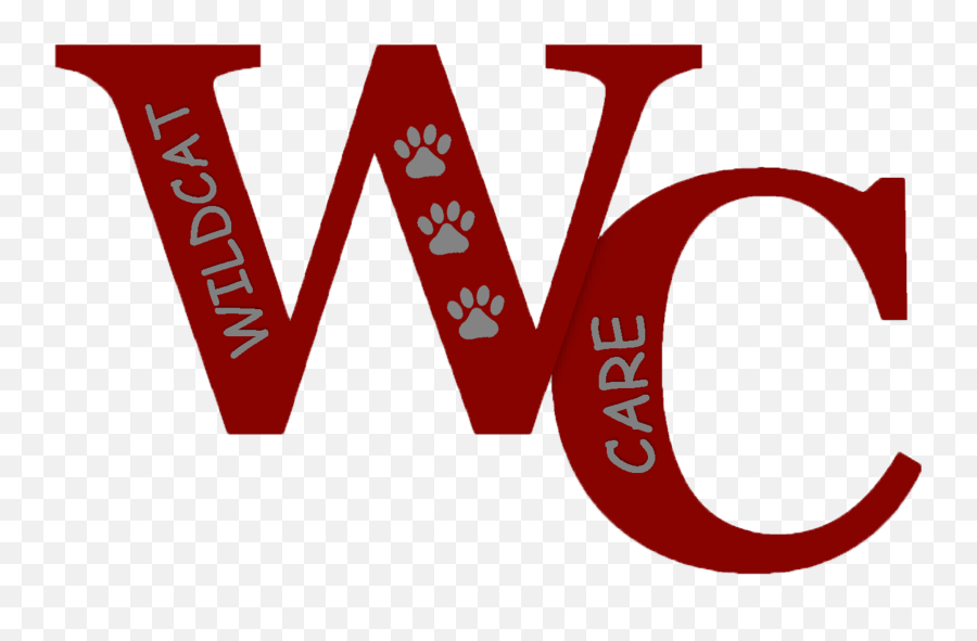 Wildcat Care Beforeafter School Program U2013 Parks Dot Png,Wildcat