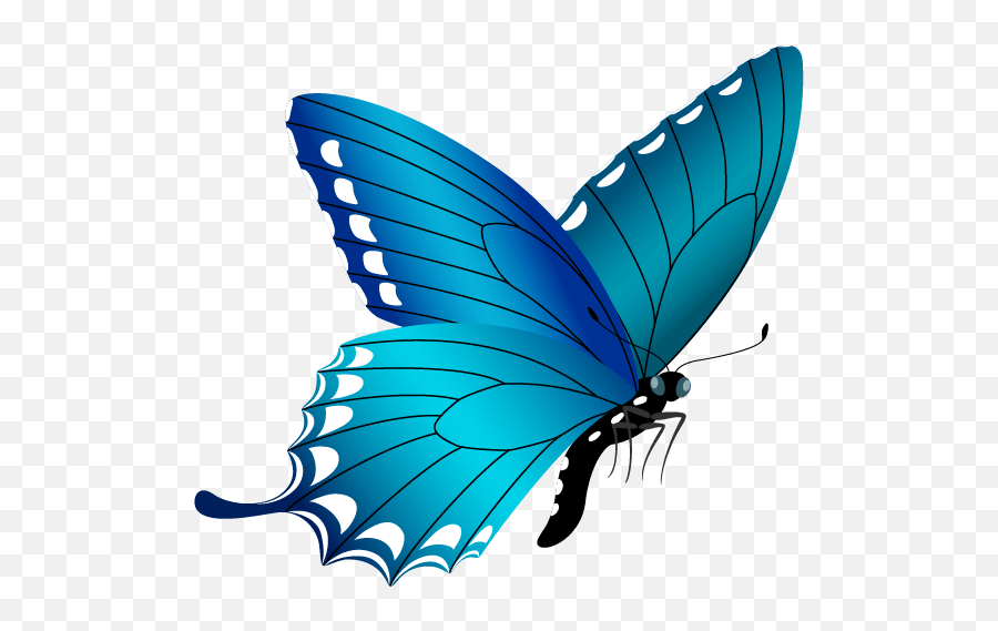 Light Blue Butterfly Clipart