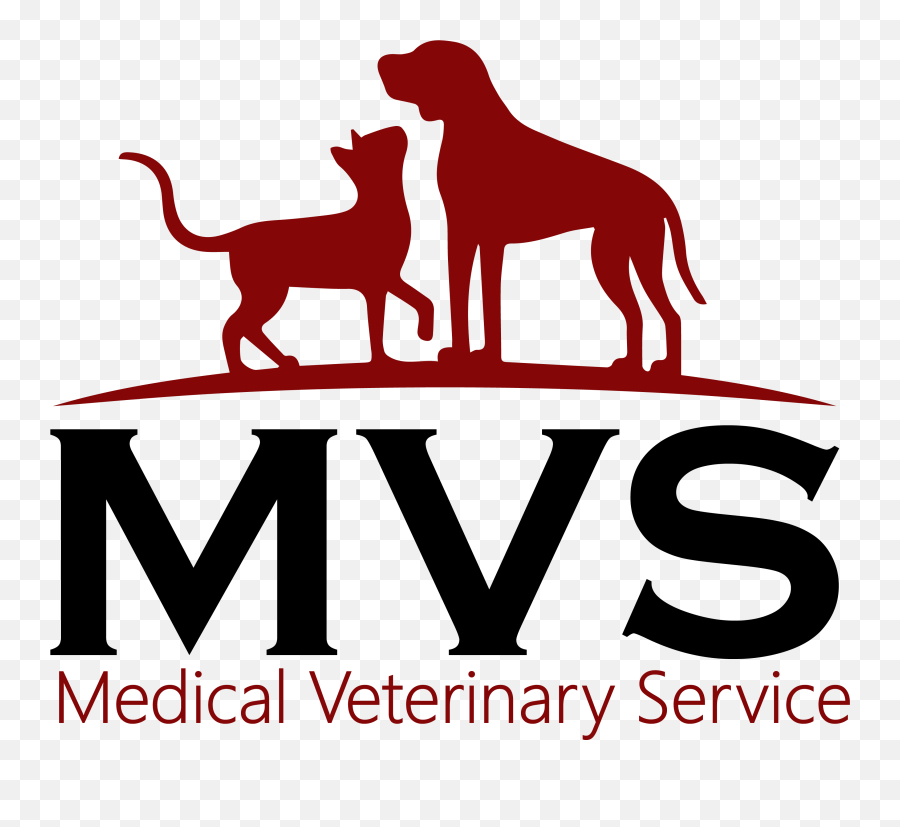 Medical Veterinary Service Veterinarian In Midland Texas Guard Dog