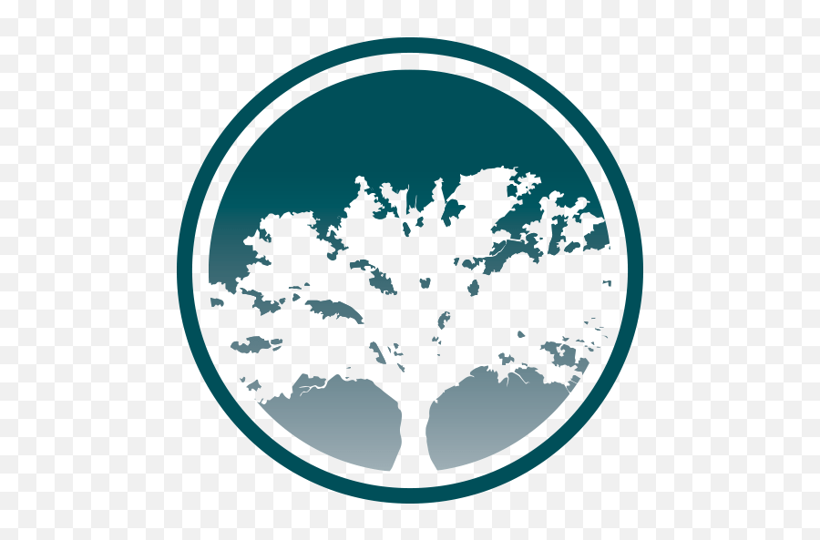 Favicon Big Tree Medical Solutions Virtual Clinic Big Tree Medical