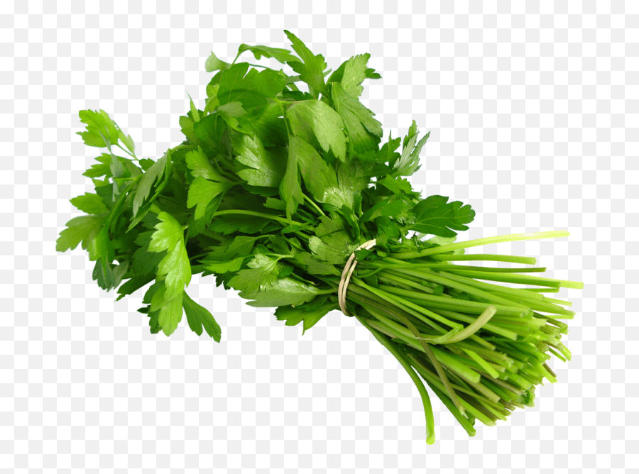 Parsley Transparent Png Image Fresh Dhania,Parsley Png free