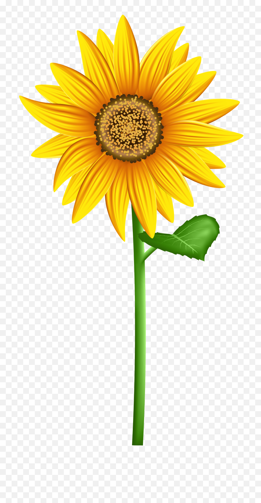 Sunflower Crown Transparent Clipart Png Background free transparent