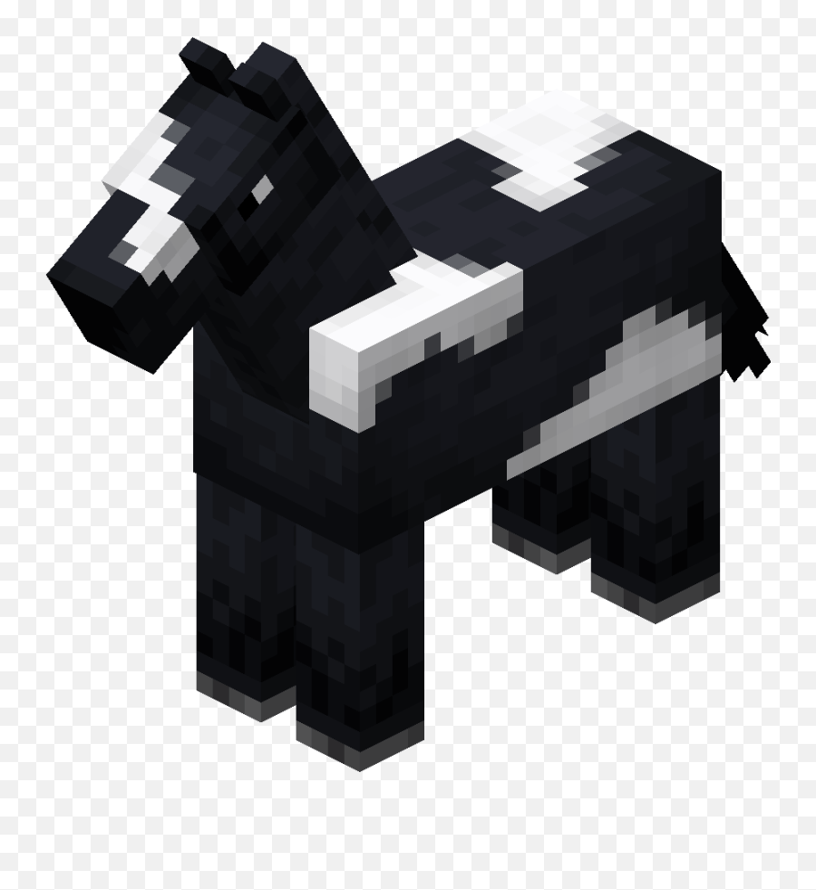 Black Horse With White Fieldpng Minecraft Wiki,Field Png free