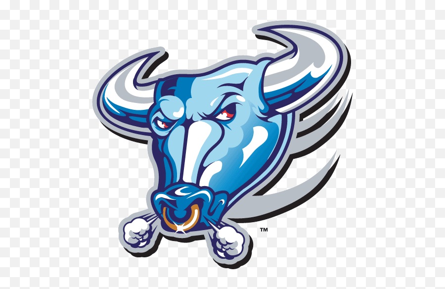 The 14 Artsiest Old College Sports Team Logos Transparent