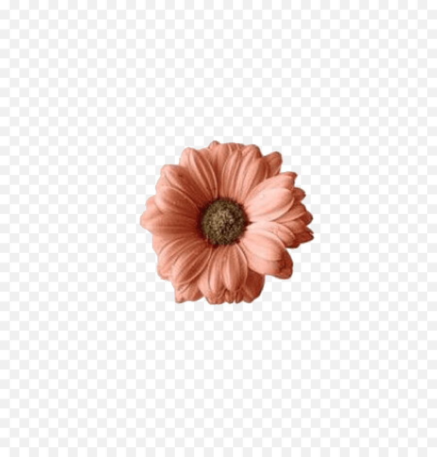 Flower Overlays Png Best Flower Site