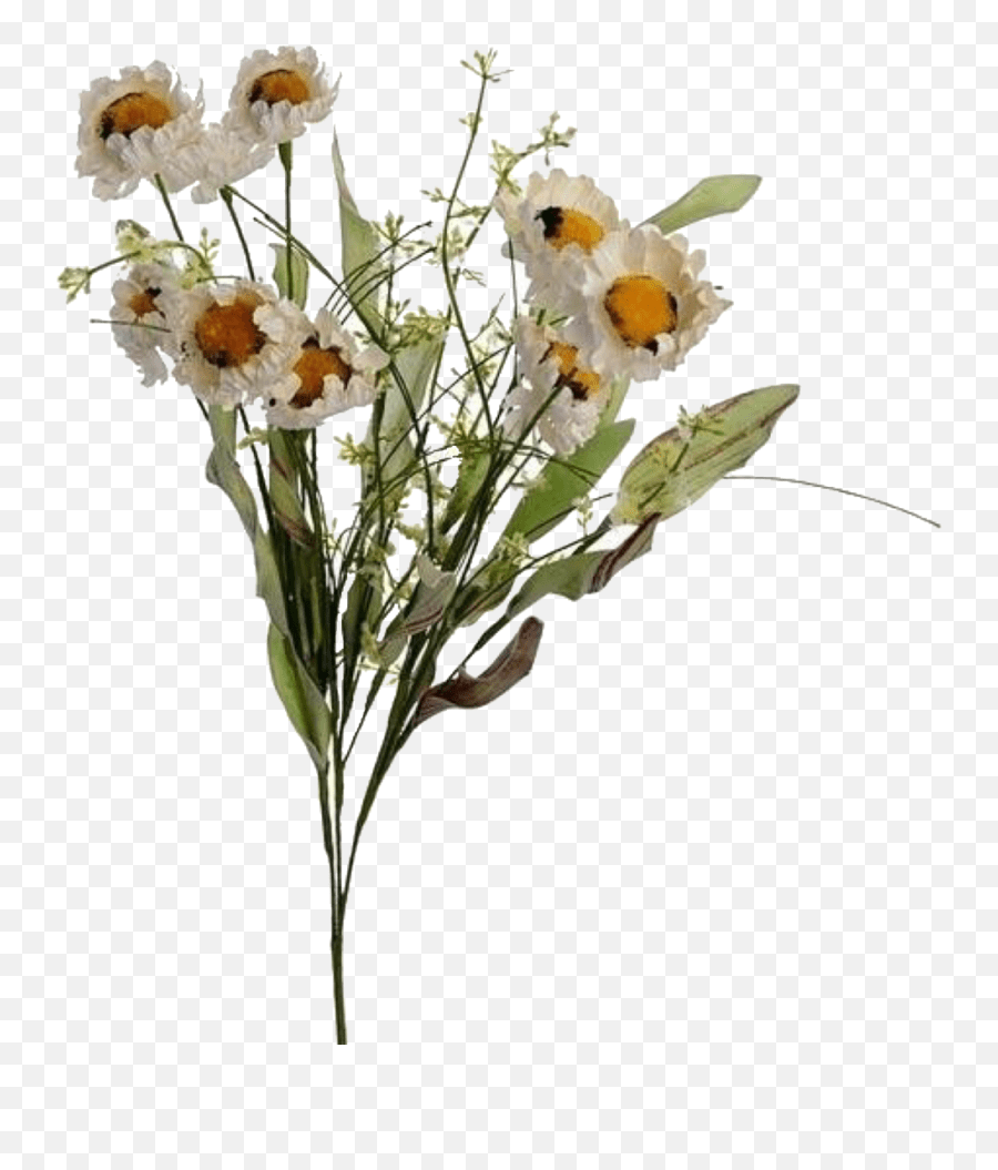 Flowers Uploaded Flower Aesthetic Plant Png,Flower Overlay Png free