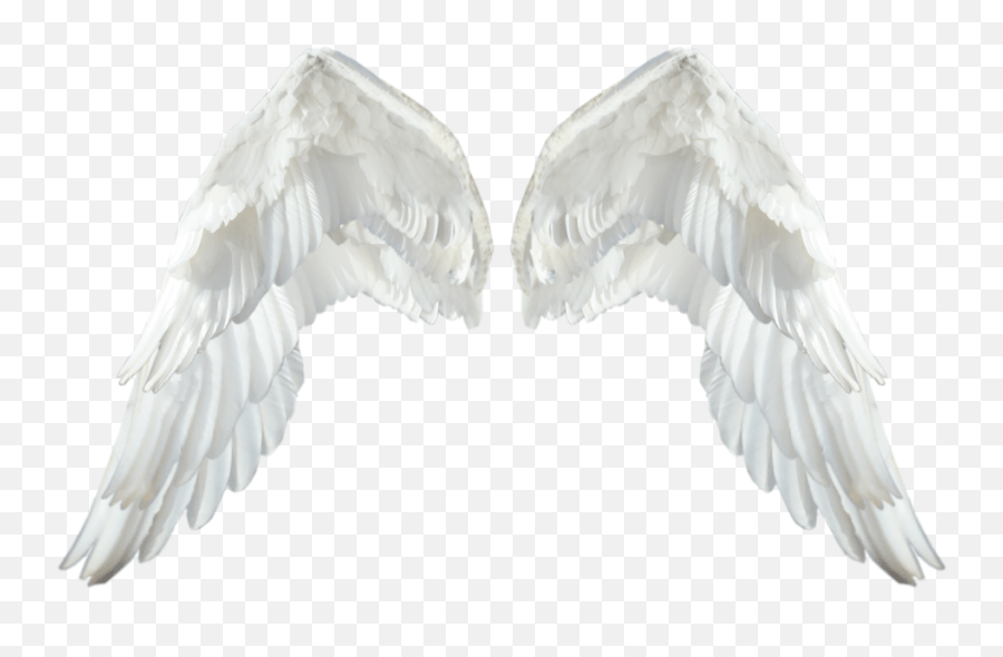 Realistic Angel Wings Transparent Png Realistic Angel Wings