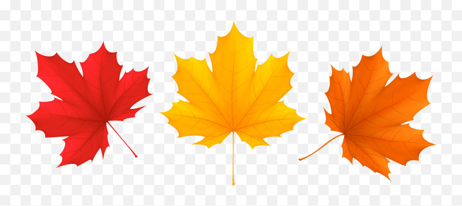Set Fall Leaves Png Clip Art Image Gallery Yopriceville Clip Art Fall Leaves Autumn Leaves Png Free Transparent Png Images Pngaaa Com