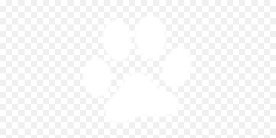 Pet Simulator X Community Discord