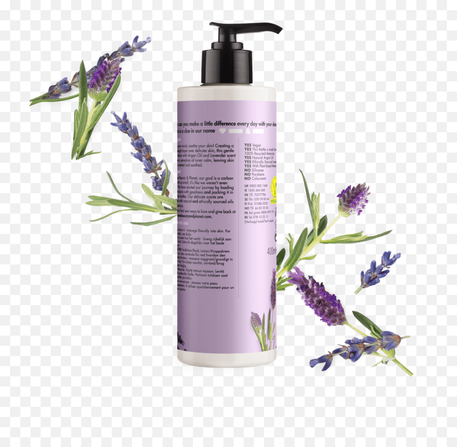 Argan Oil Lavender Body Lotion Love Beauty And Argan