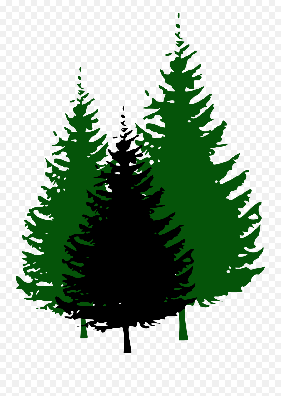 Green Christmas Tree Silhouettes Clipart Pine Tree Silhouette Png