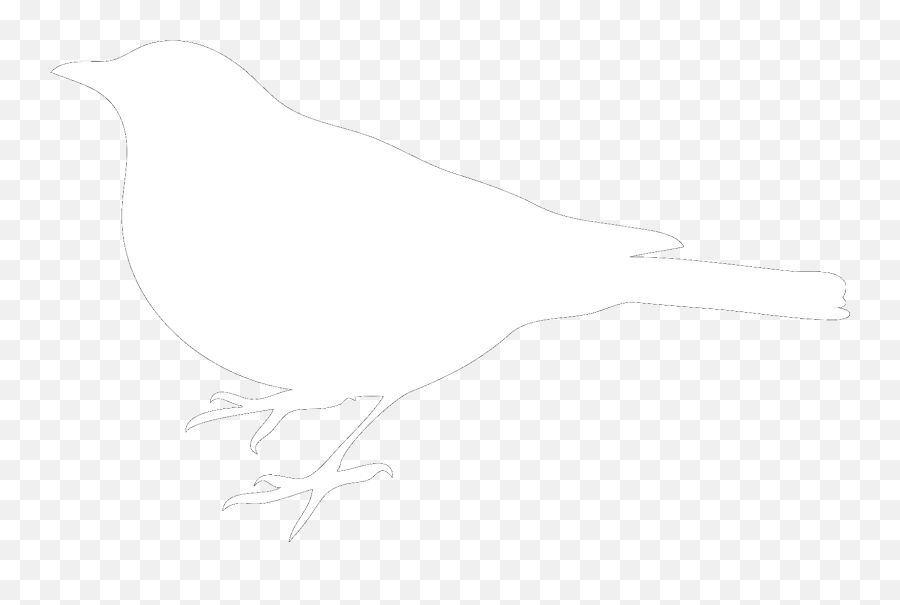 White Bird White Bird Black Background Png,Black Background Png