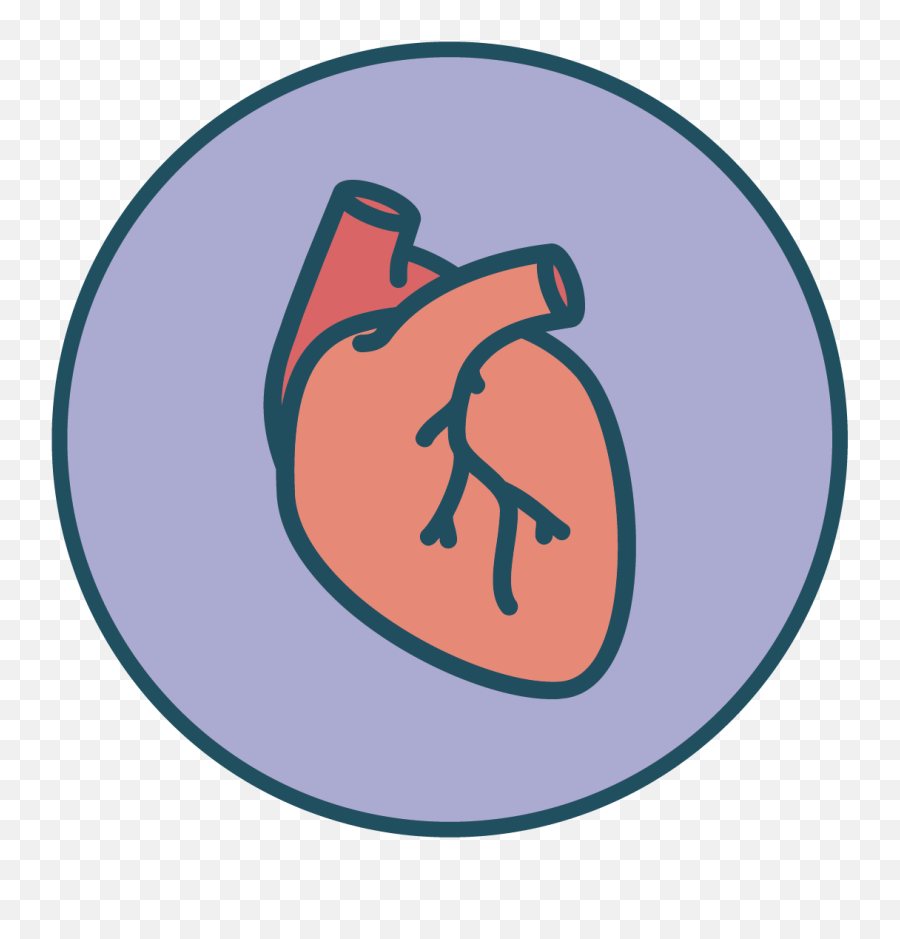 The Heart Of It Whole Body Health Botanical Garden Png,What App Has A