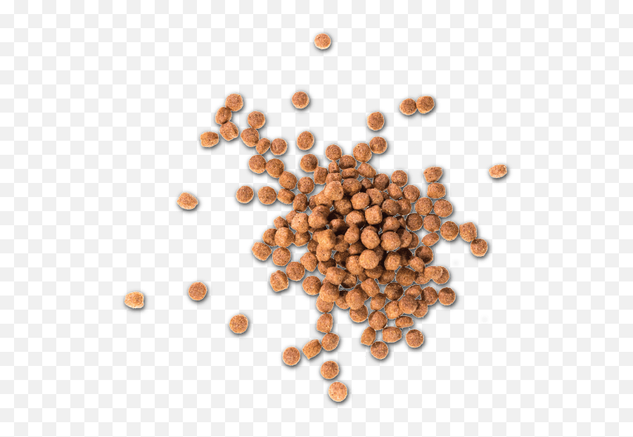 Pet Food Contract Manufacturer Tree Png,Dog Food Png free
