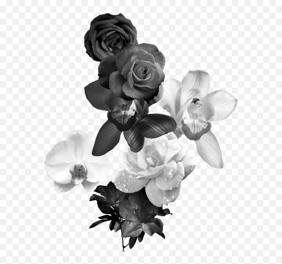 Black And White Flower Monochrome Aesthetic Black Flowers Png,Black