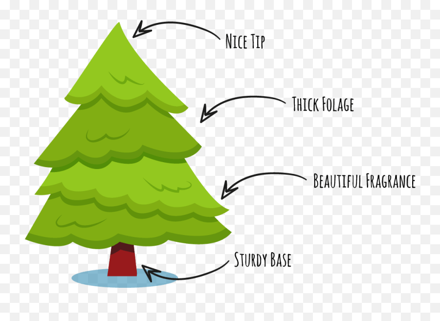 Home Christmas Tree Farm Chandlers Hill Christmas Tree Farm Adelaide