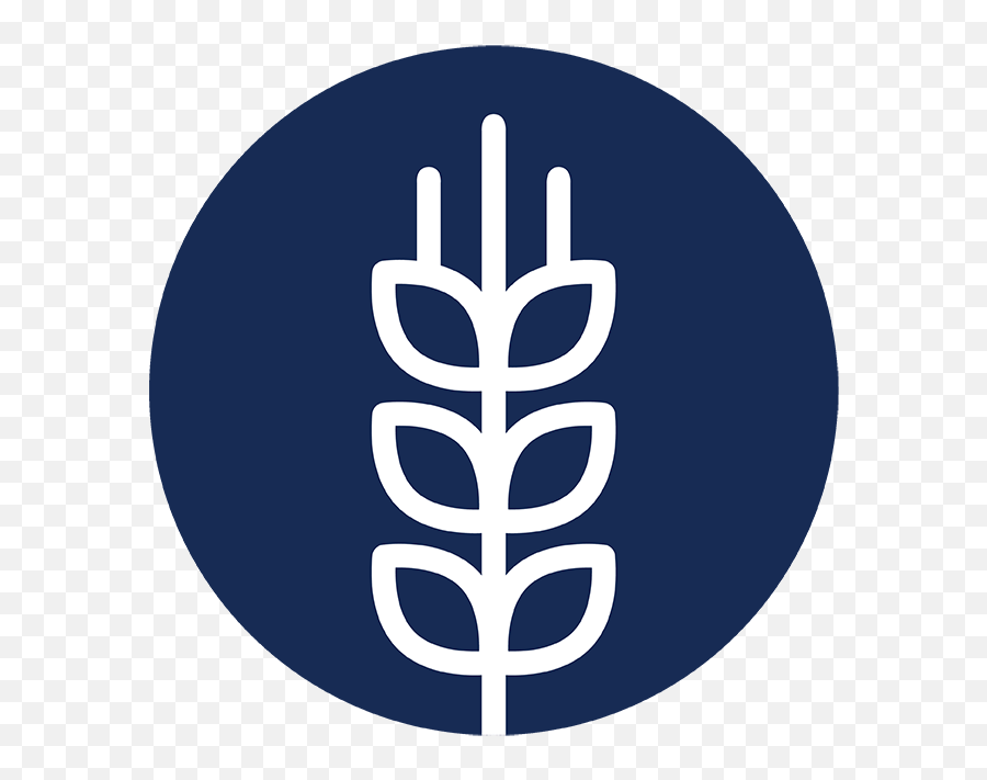 Food And Beverage Manufacturing Invest Ontario Language Png,Food