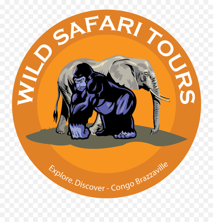 Wild Safari Tours Wild Safari Tours Brazzaville Png,Safari Logo