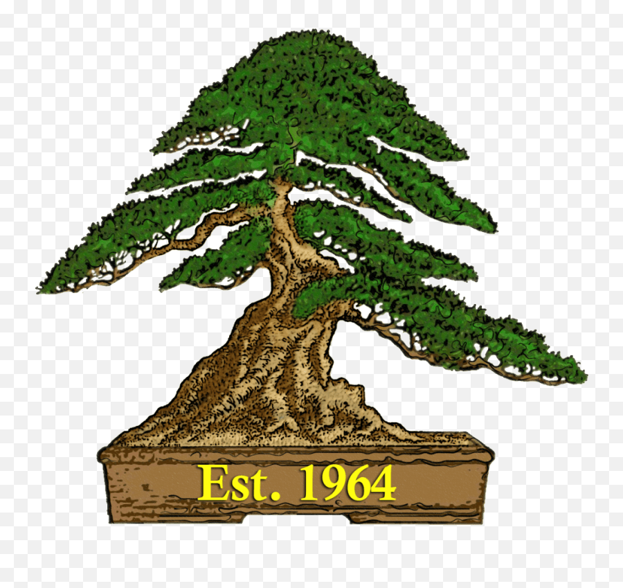 Autumn 2016 South Australian Bonsai Society Sa Bonsai Society Logo