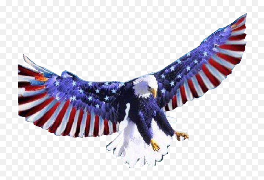 American Flag Bald Eagle Red White And Blue Eagles Png,Bald Eagle