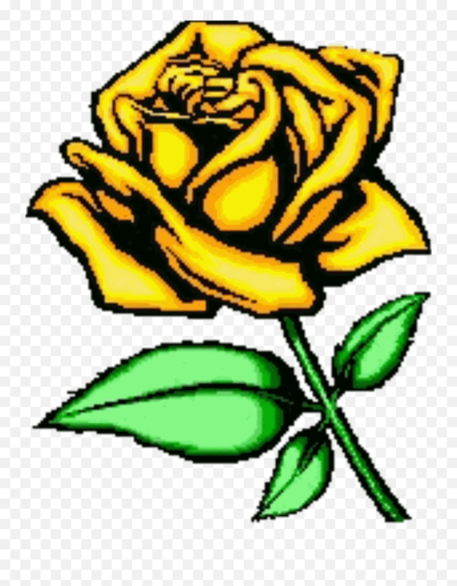 Cartoon Rose Pictures Yellow Rose Of Texas Clipart Png Clipart Yellow