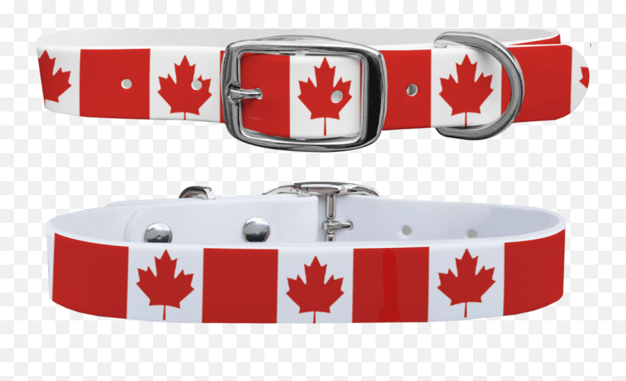 Canada Maple Leaf Dog Collar Belt Png,Canada Maple Leaf Png free