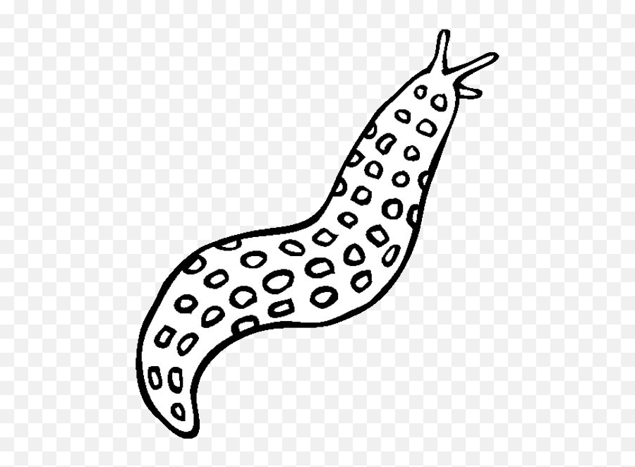 Slug Png Easy Sea Slug Drawing,Slug Png free transparent png images