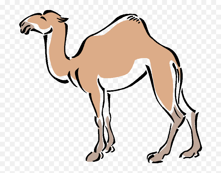 Camel Drawing Outline Free Download Camel In Simple Art png free